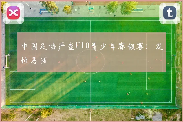 中国足协严查U10青少年赛假赛：定性恶劣
